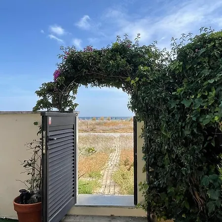 Flat With Garden Apartment *